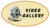 Video Gallery